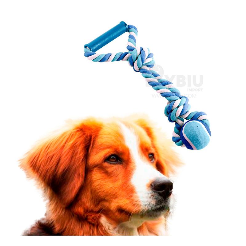 RYBIU IMPORT - Cuerda Comodo para Jugar con Perros en Azul Y+Gift Stickers