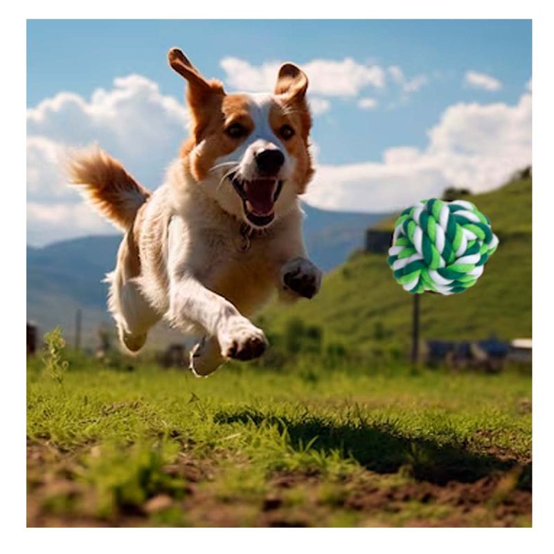 GENERICO - Pelota de Paseo Dogs Trenzada Algodon en Verde Y+Agendita