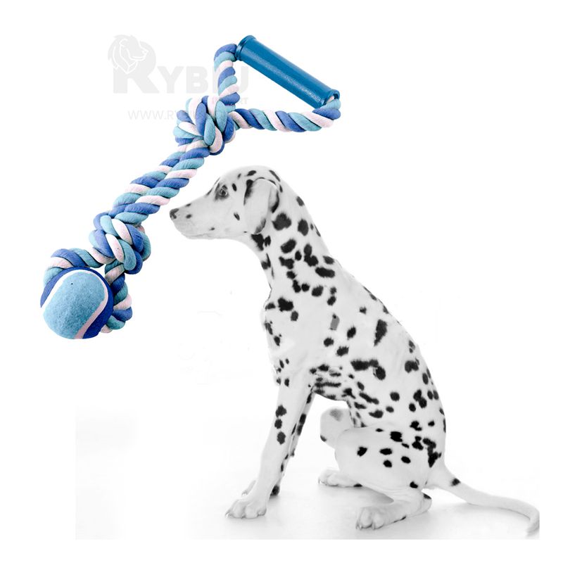 RYBIU IMPORT - Cordon Elastico para Pelota Azul Y+Regalo Ligas para Peinar