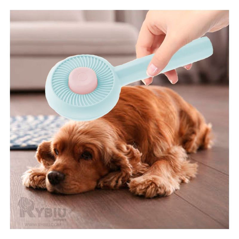 RYBIU IMPORT - Articulo Personal 2 en 1 Cats en Celeste Y+Papel de Regalo