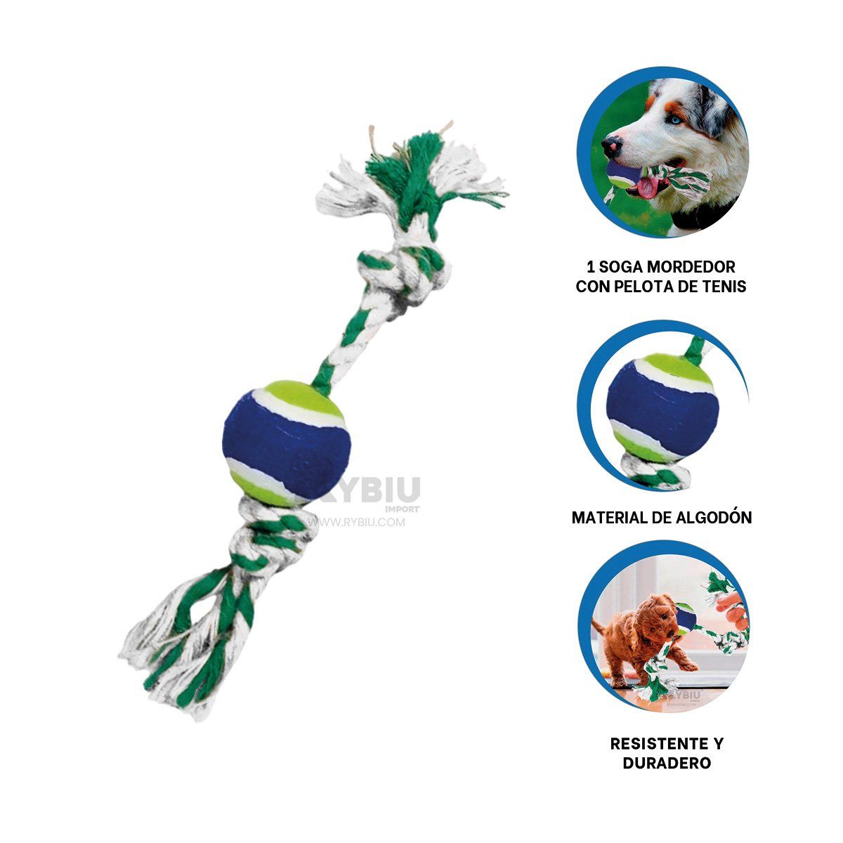 RYBIU IMPORT - Cuerda Enrollada con Pelota de Mascota Multicolor Y+Stickers