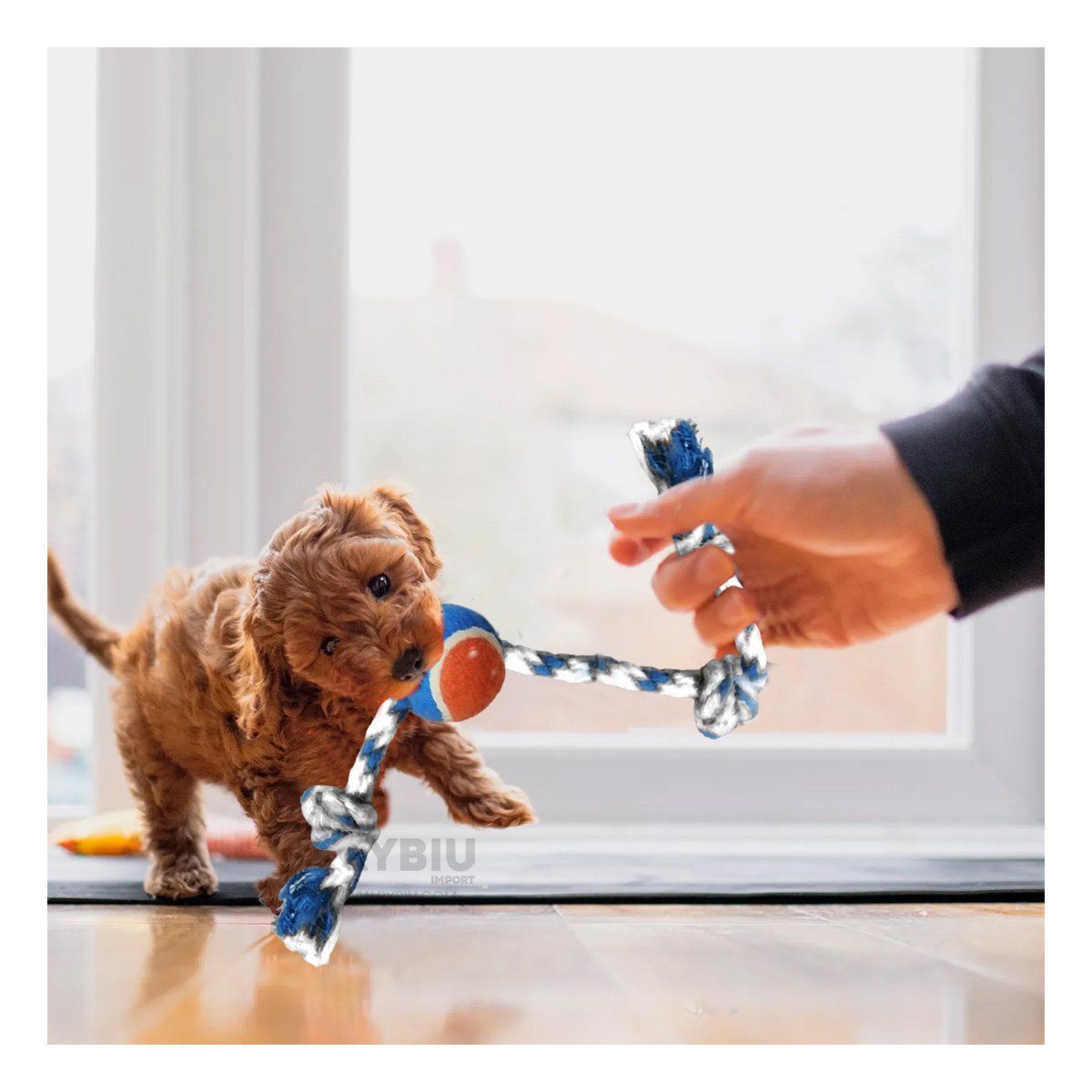 RYBIU IMPORT - Soga para Masticar y Entrenar de Perro Multicolor Y+Stickers