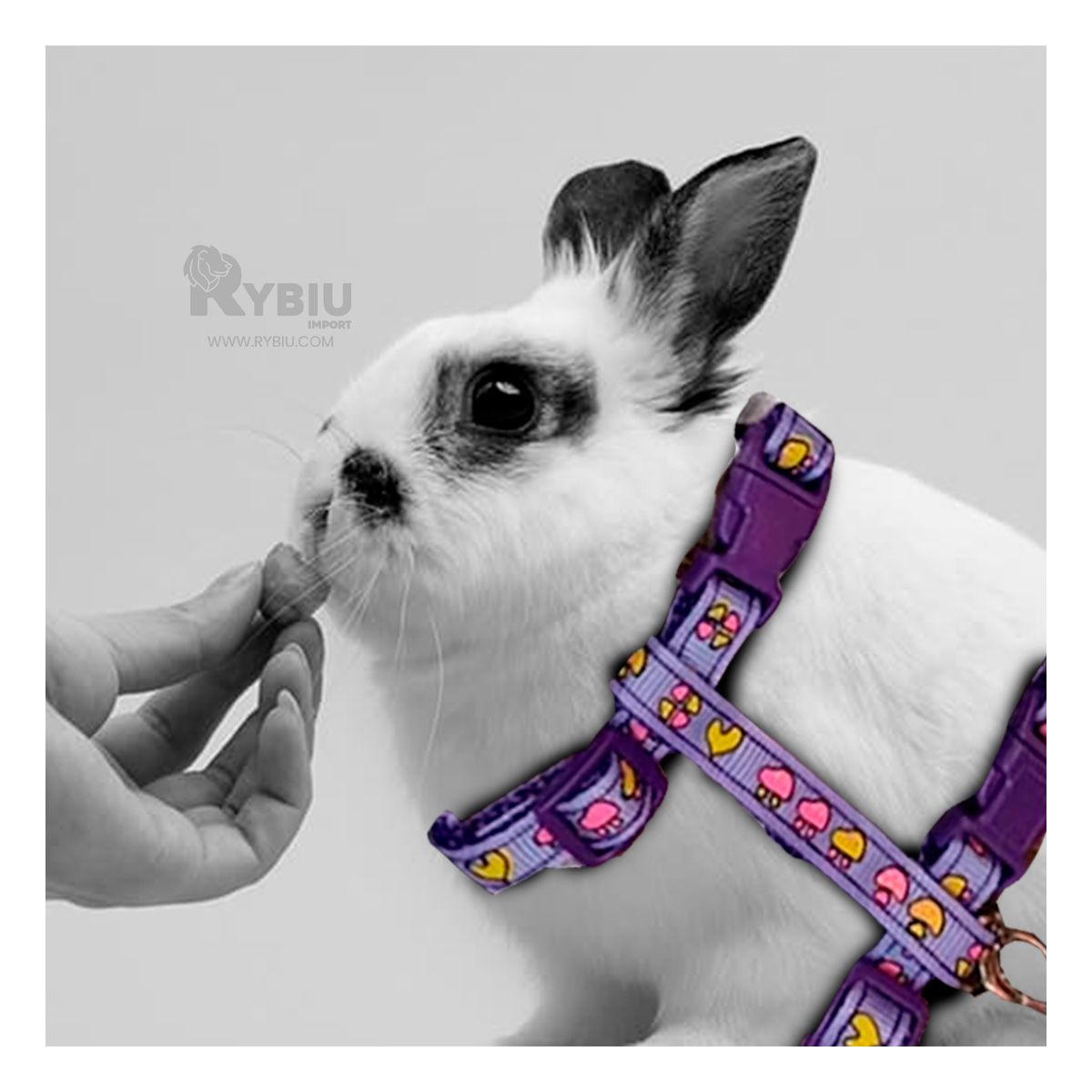 RYBIU IMPORT - Arnes Comodo y Delgado para Conejo en Tono Lila Y+Stickers