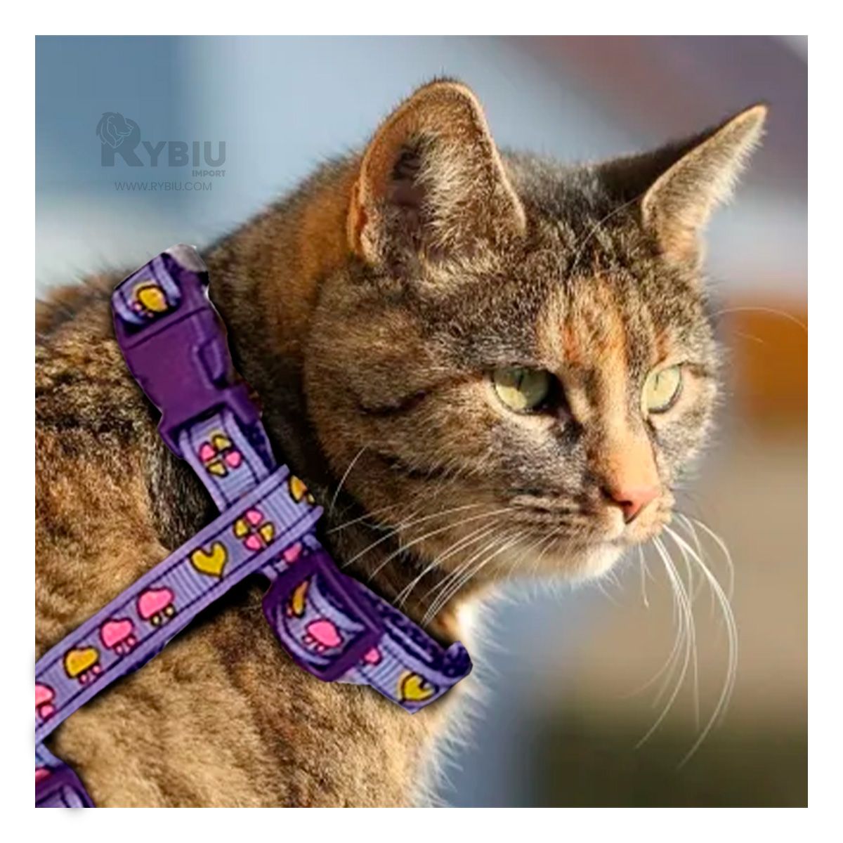 RYBIU IMPORT - Arnes Comodo y Delgado para Conejo en Tono Lila Y+Stickers