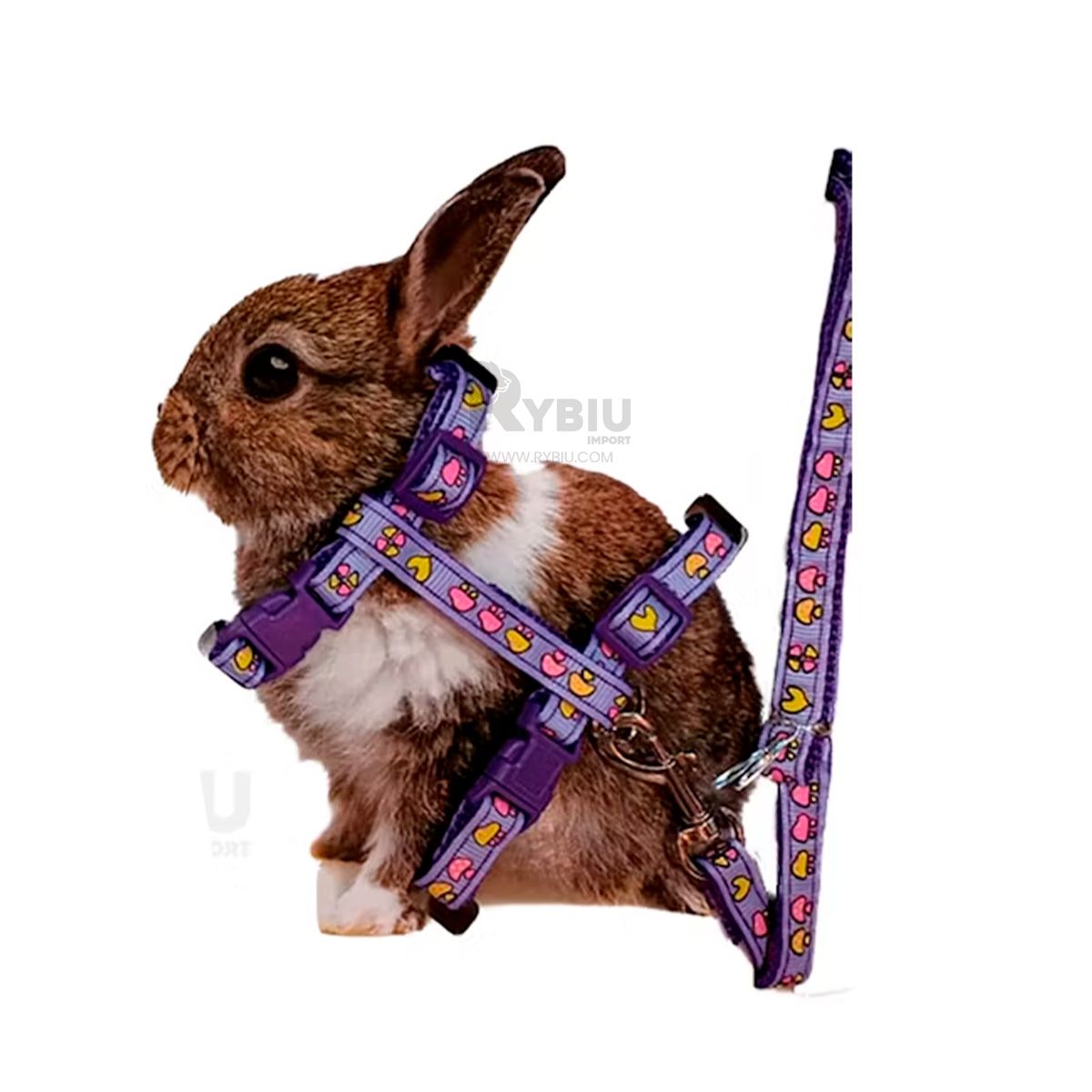 RYBIU IMPORT - Correa Pet de Conejo de Paseo en Lila Y+Envoltorio de Regalo