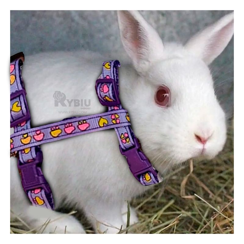 RYBIU IMPORT - Arnes para Conejo y Gato de Paseo Delgado en Color Lila