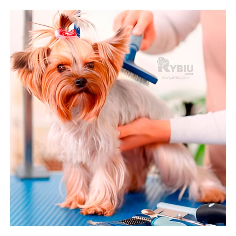 RYBIU IMPORT - Peine con Mango Madera Azul Y+Agendita