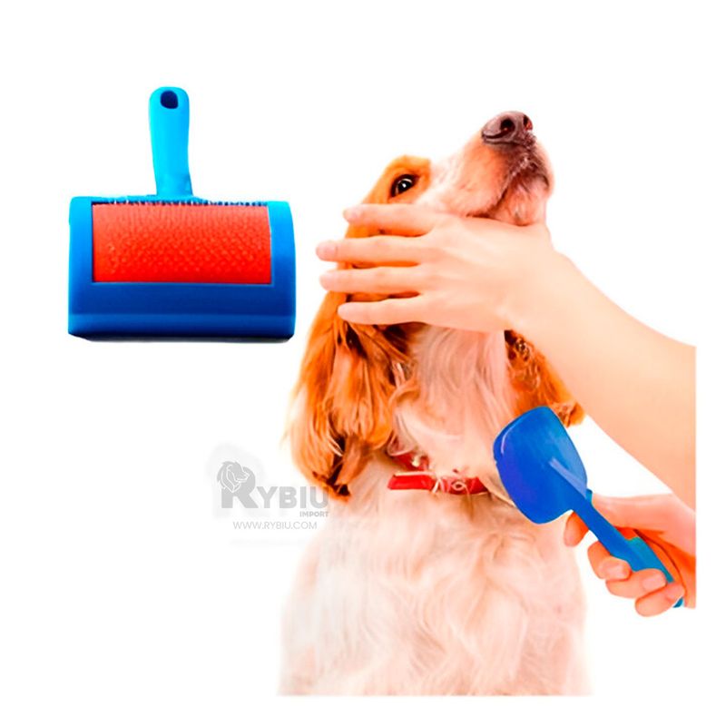 GENERICO - Cepillo Moderno en Azul Y+Stickers