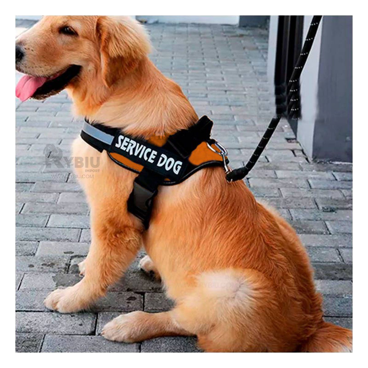 GENERICO - Arnes de Soporte Canino Talla S Anaranjado Y+Regalo Stickers