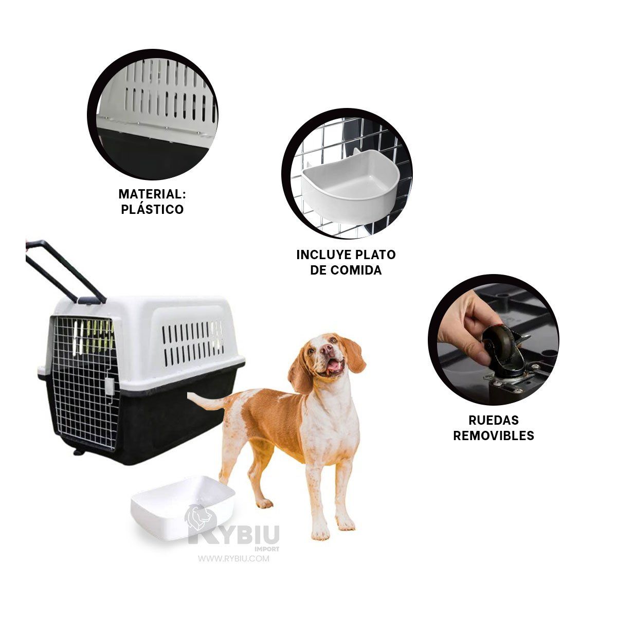 GENERICO - Caja Practica para Mascota en Color Negro Y+Regalo Stickers