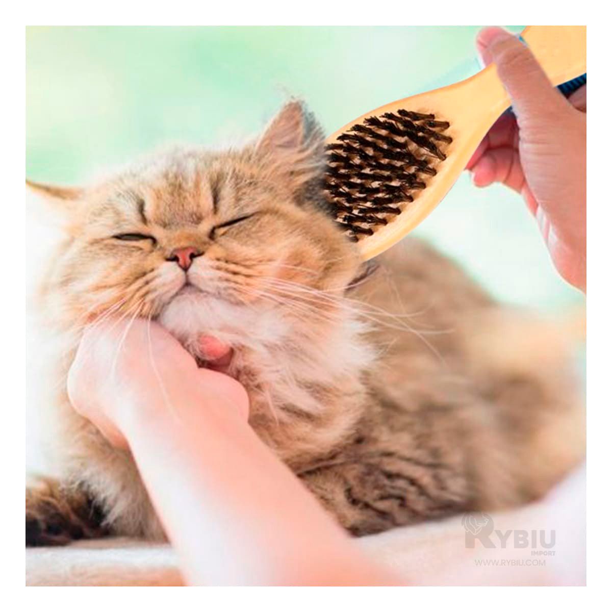 RYBIU IMPORT - Peine Comodo Doble Funcion Standar Y+Regalo Stickers