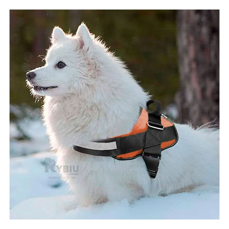 RYBIU IMPORT - Arnes para Perros Activos Talla S de Color Anaranjado