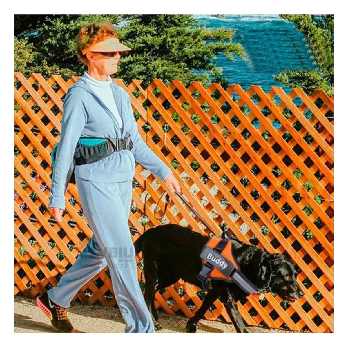 RYBIU IMPORT - Arnes para Perros Activos Talla S de Color Anaranjado