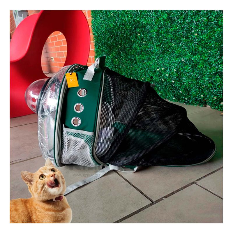 RYBIU IMPORT - Mochila para Paseos y Caminatas Tono Verde Y+Regalo Stickers