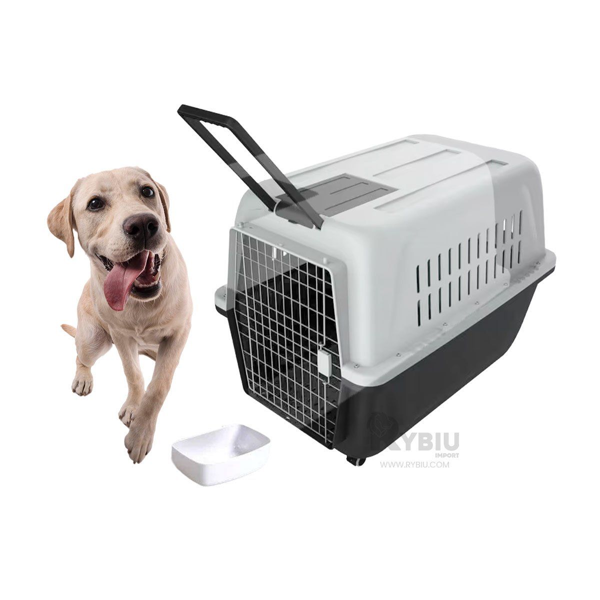 RYBIU IMPORT - Caja Durardera para Perro en Color Negro Y+Gift MiniAgenda