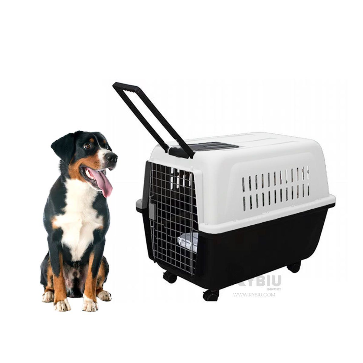 RYBIU IMPORT - Caja Durardera para Perro en Color Negro Y+Gift MiniAgenda