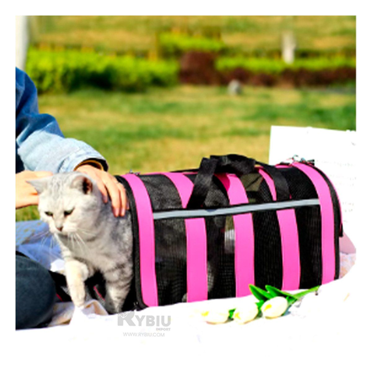 RYBIU IMPORT - Maleta Moderna para Mascotas Color Fucsia Y+Regalo Agendita