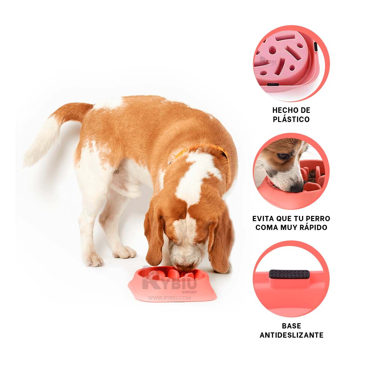 RYBIU IMPORT - Comedero Antiestres para Perro de Color Rojo Y+Gift Stickers