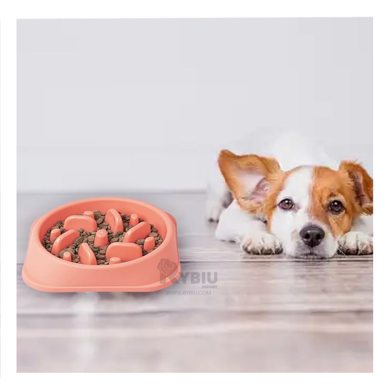 RYBIU IMPORT - Plato Compacto para Perro de Color Rosado Y+Papel de Regalo