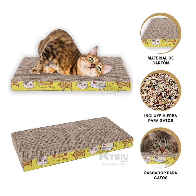 GENERICO - Cama para Gatos de Carton Y+Regalo Ligas para Peinar
