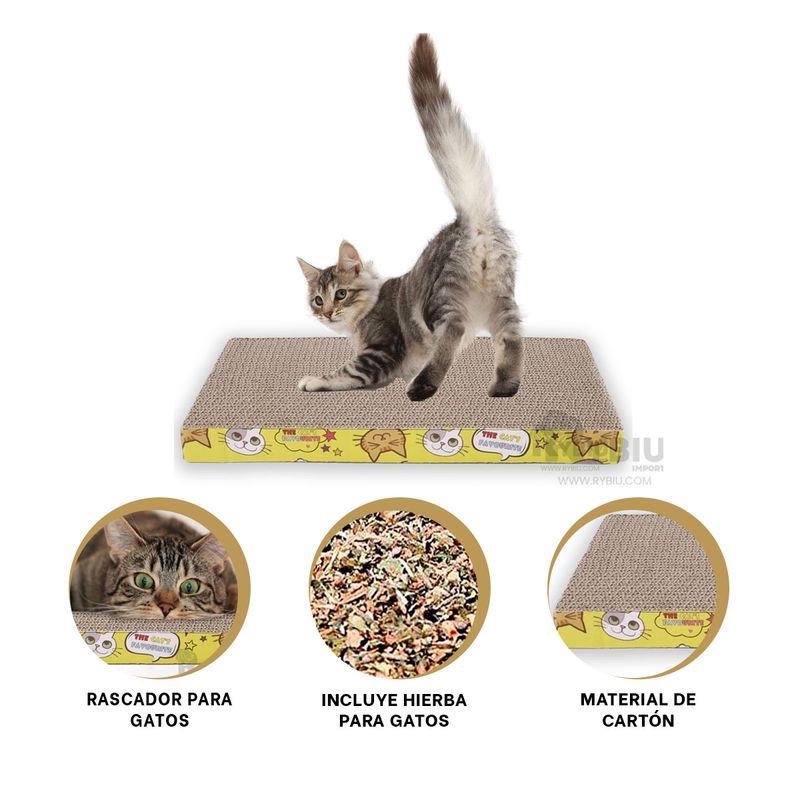 GENERICO - Cama Rascadora para Gato de Carton Y+Banderitas Adhesivas