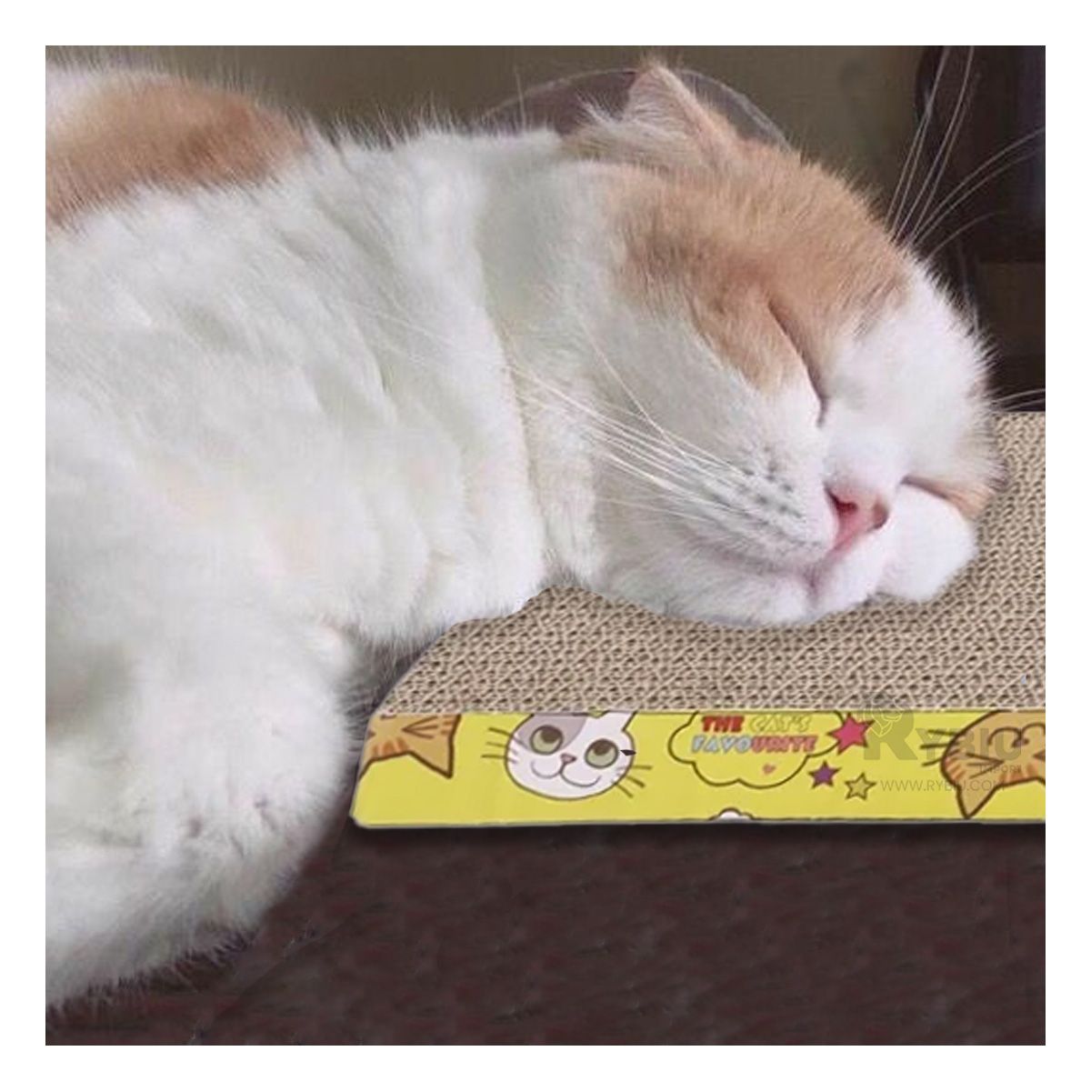 GENERICO - Cama Rascadora para Gato de Carton Y+Banderitas Adhesivas