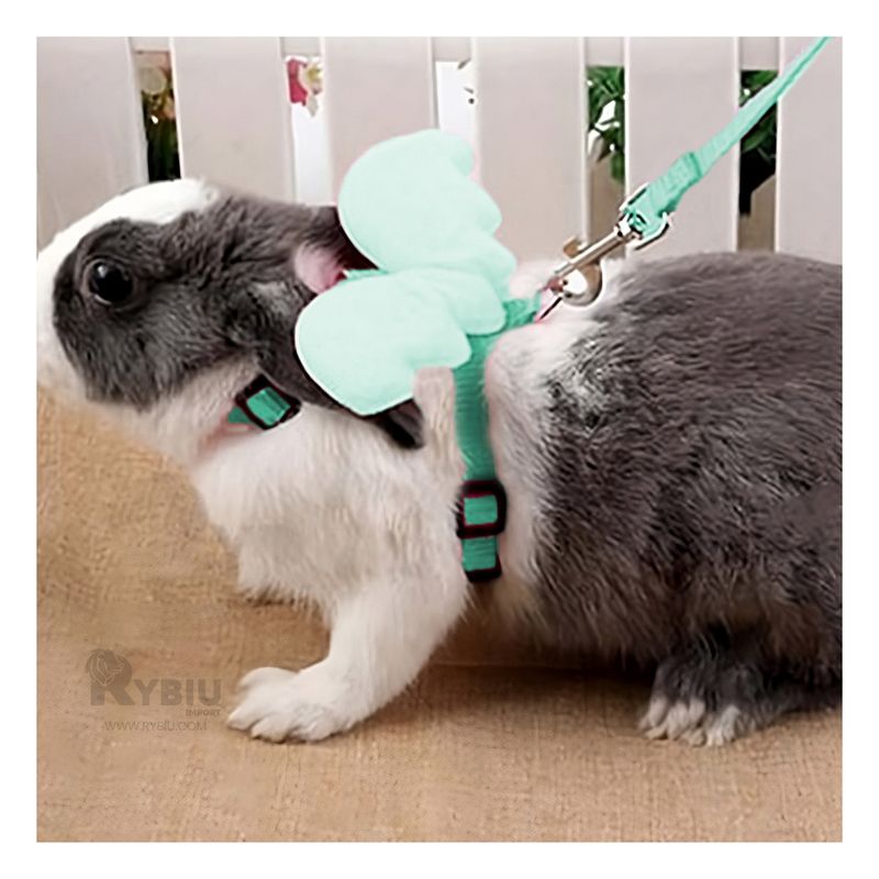 GENERICO - Arnes con Diseño para Gatos en Turquesa Y+Papel de Regalo