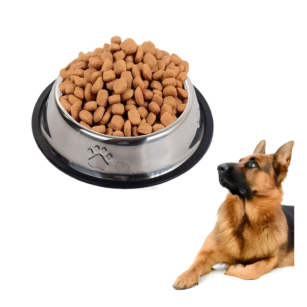 RYBIU IMPORT - Recipiente para Canino Portable en XXXL Y+Gift Stickers