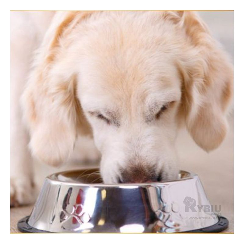 RYBIU IMPORT - Comedor Canino en Talla XXXL Y+Regalo Ligas para Peinar