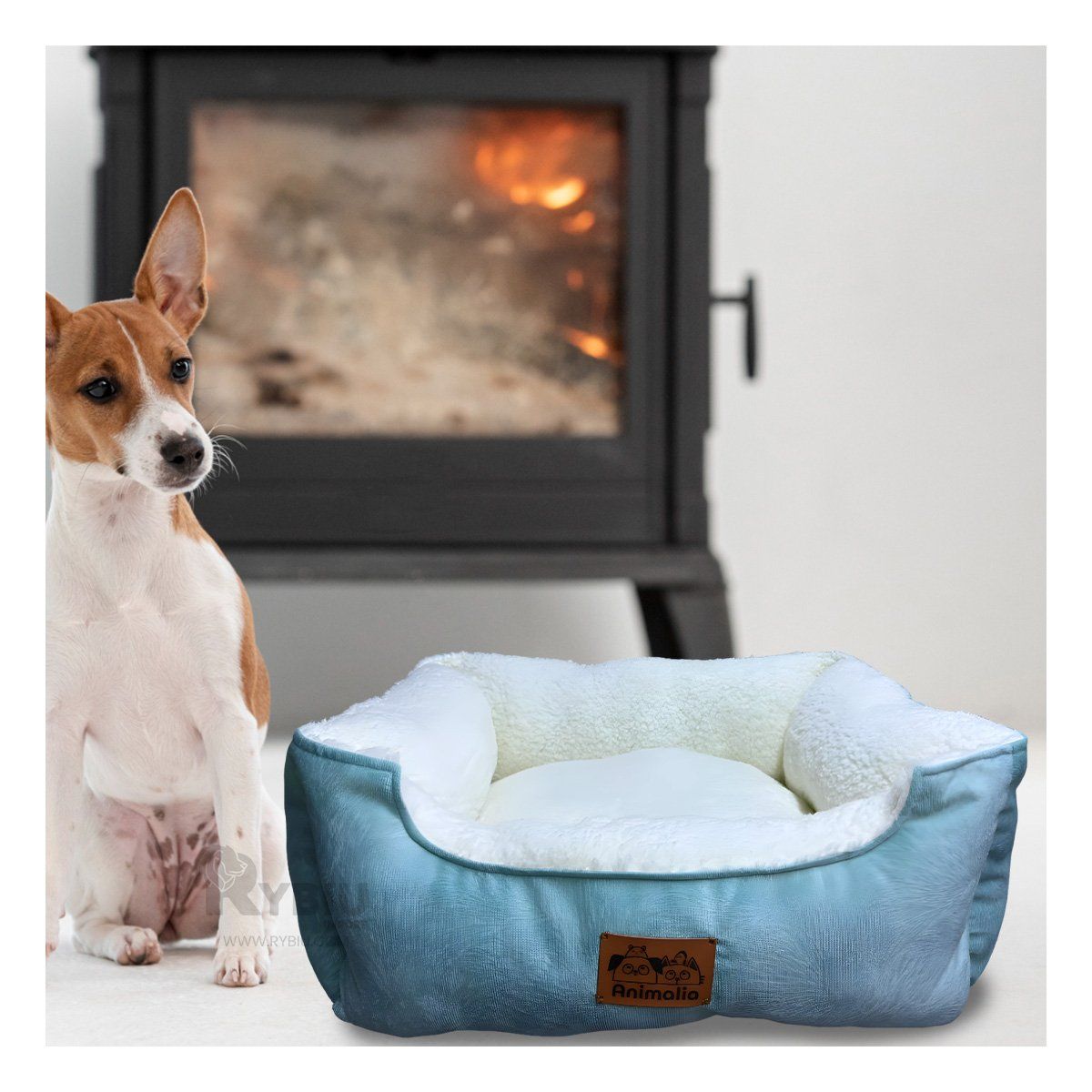 GENERICO - Cama Canina en Verde Hade y Perla en S Y+Papel de Regalo