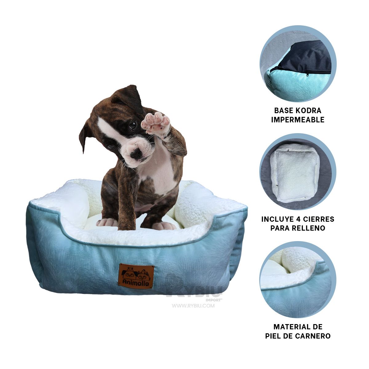 GENERICO - Cama Canina en Verde Hade y Perla en S Y+Papel de Regalo