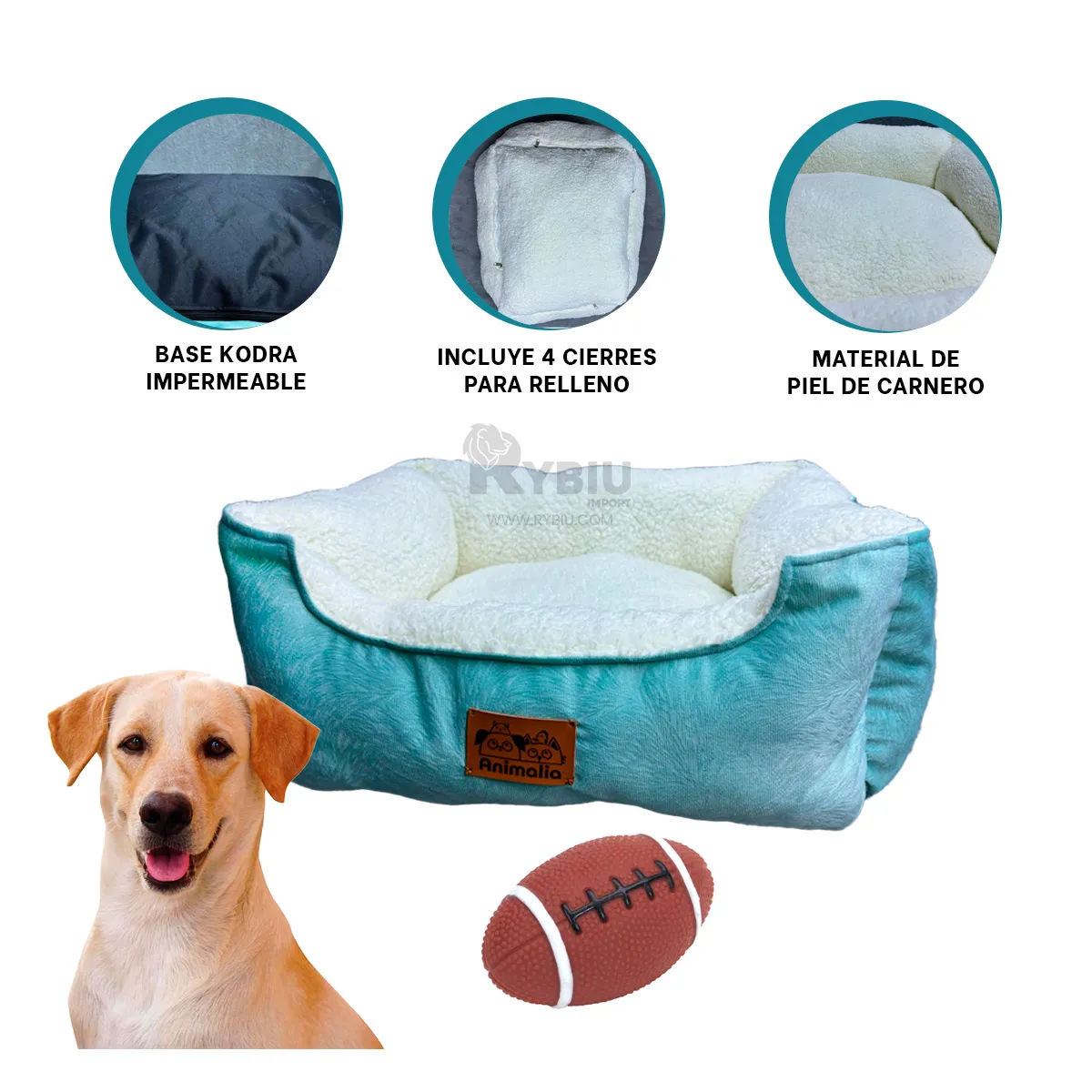 GENERICO - Cama Funcional en Tono Verde Hade y Perla Y+Regalo Stickers