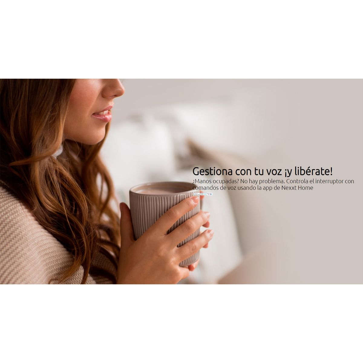 NEXXT SOLUTIONS - Interruptor de relé Wi-Fi inalámbrico Nexxt NHE-R100 2200W Activación por voz