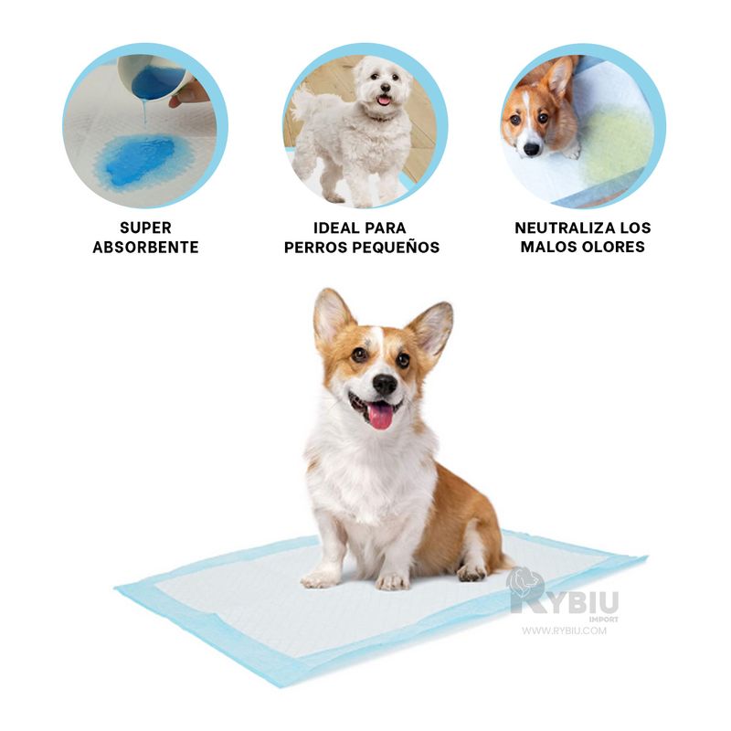 RYBIU IMPORT - Empapador Util para Can 45x60 Talla M Y+Envoltorio de Regalo