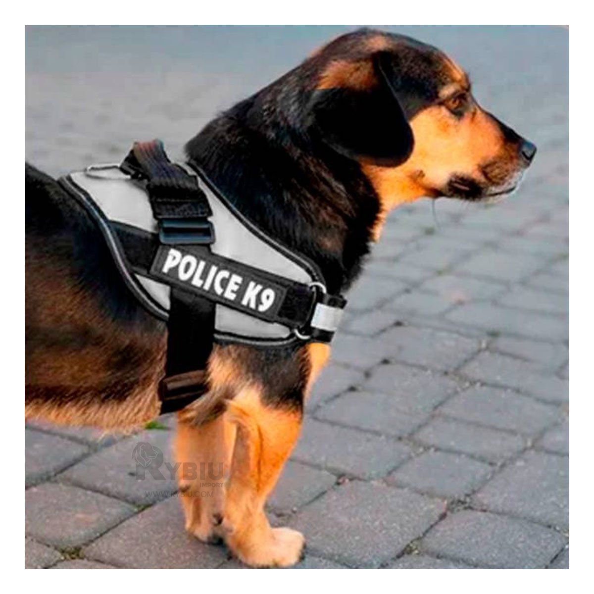 GENERICO - Pechera de Tactica de Entrenamiento Talla S en Negro