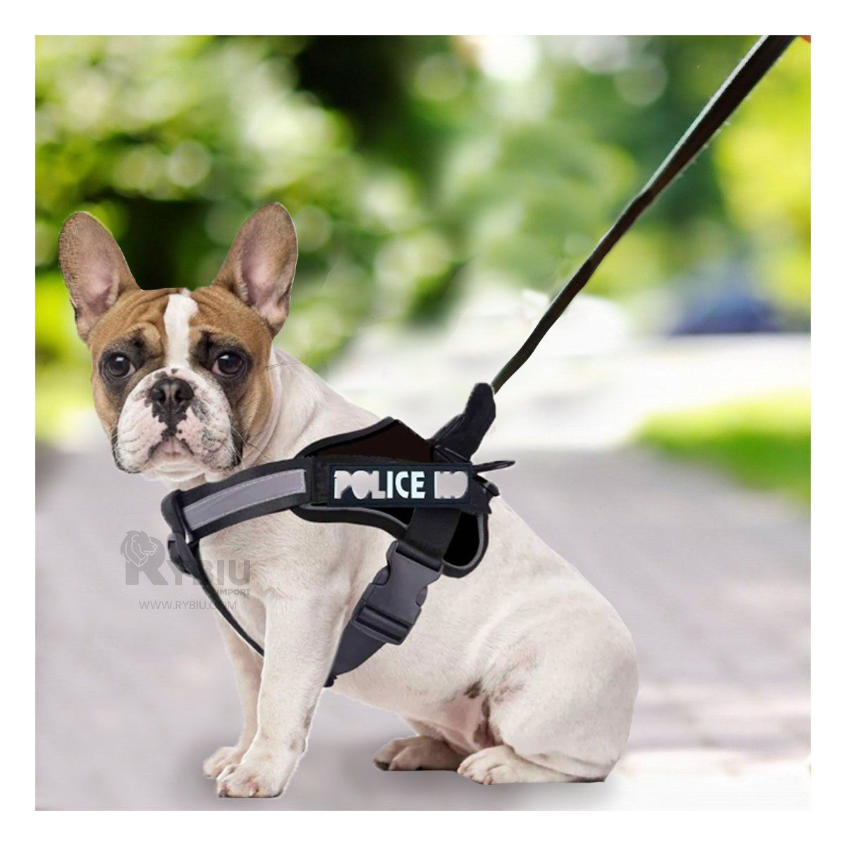 GENERICO - Pechera de Tactica de Entrenamiento Talla S en Negro