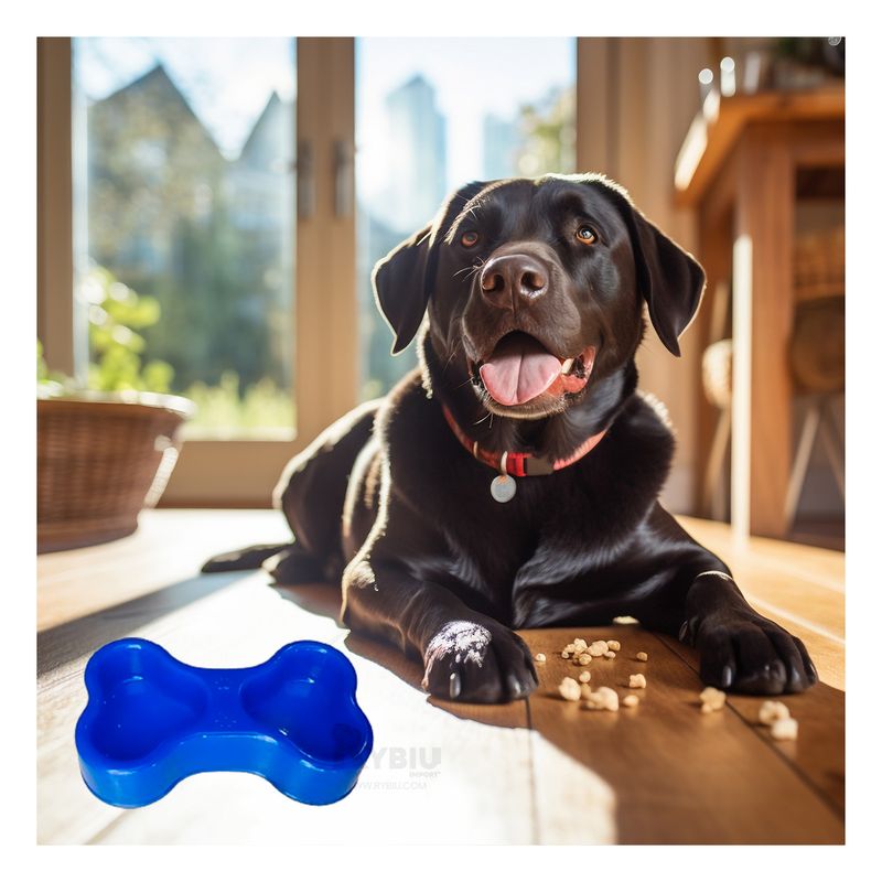 RYBIU IMPORT - Comedero de Comida Doble para Pet Azul Y+Regalo Agendita