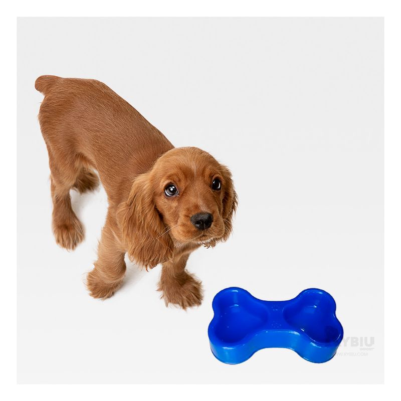 RYBIU IMPORT - Platillo de Caninos Doble en Azul Y+Post-it Adhesivos