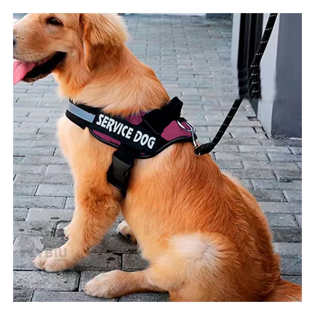 GENERICO - Pechera de Tactica de Entrenamiento Talla S en Rosado