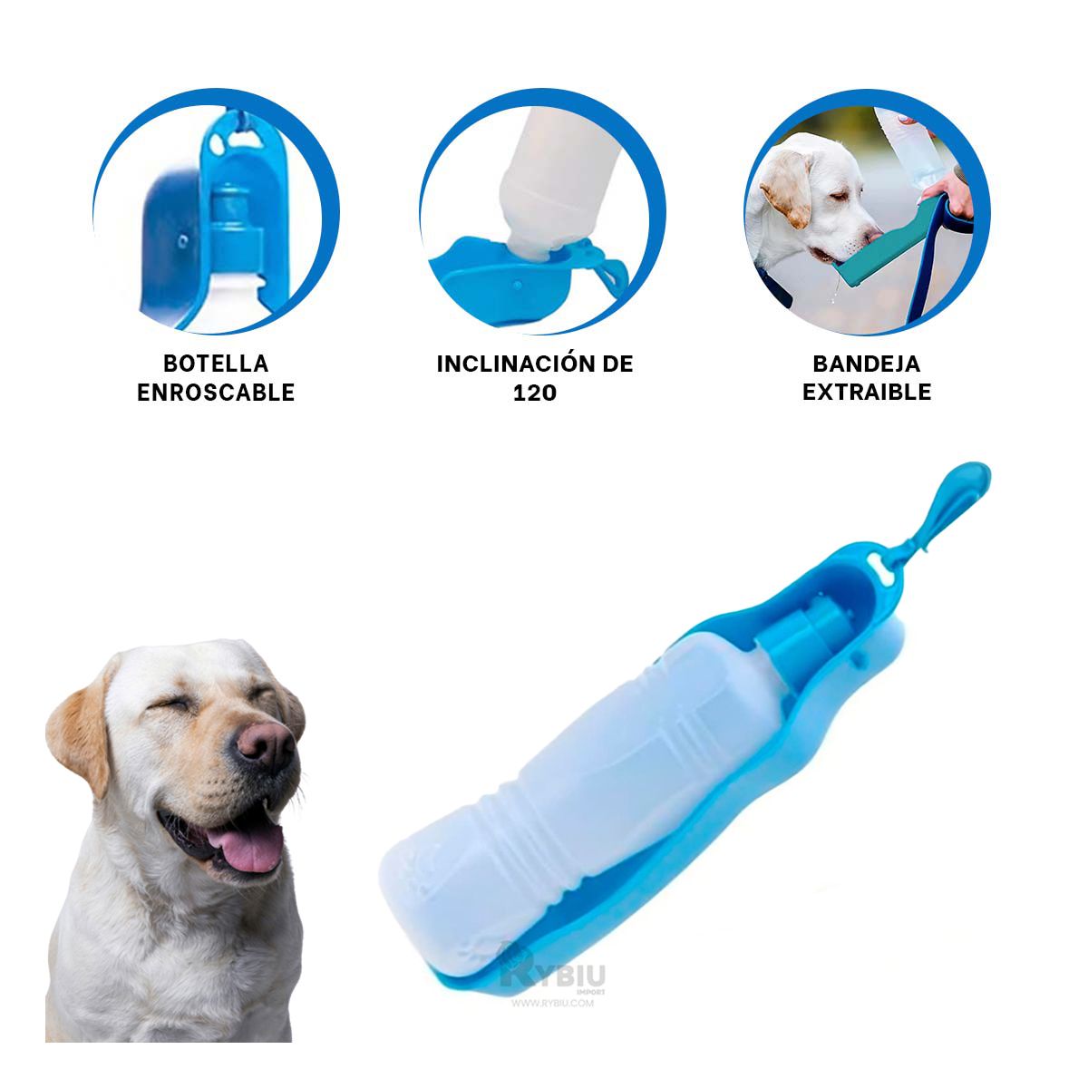 GENERICO - Bebedero con Bandeja para Perros en Color Celeste Y+Agendita