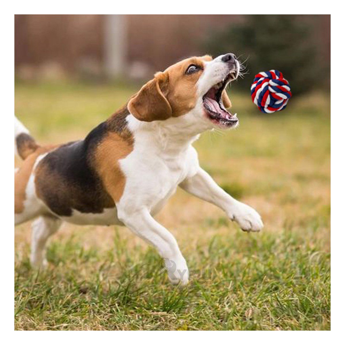 RYBIU IMPORT - Pelota para Dogs Grandes y Pequeños en Multicolor Y+Stickers