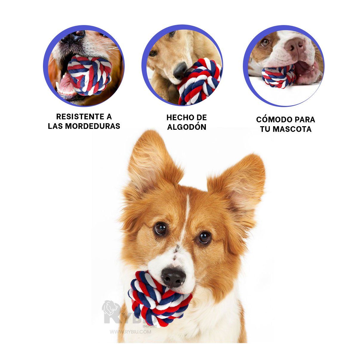 RYBIU IMPORT - Pelota para Dogs Grandes y Pequeños en Multicolor Y+Stickers