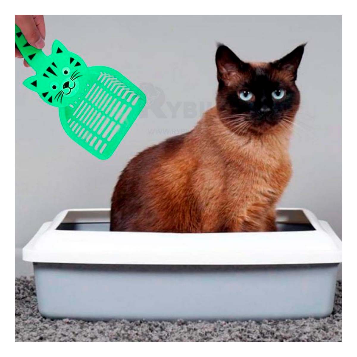 GENERICO - Pala de Limpieza para Arenero Color Verde Y+Regalo Stickers