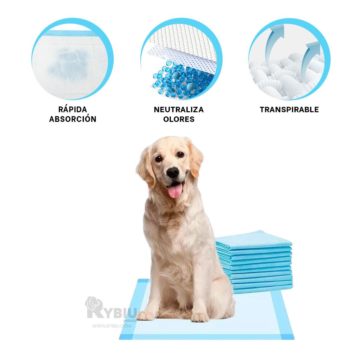 GENERICO - Papel de Necesidades Can 60x60 Talla L Y+Post-it Adhesivos