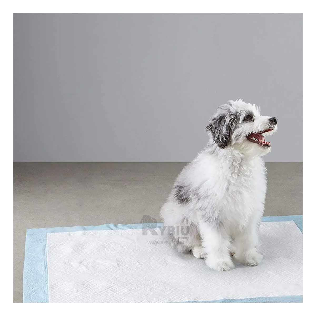 GENERICO - Papel de Necesidades Can 60x60 Talla L Y+Post-it Adhesivos