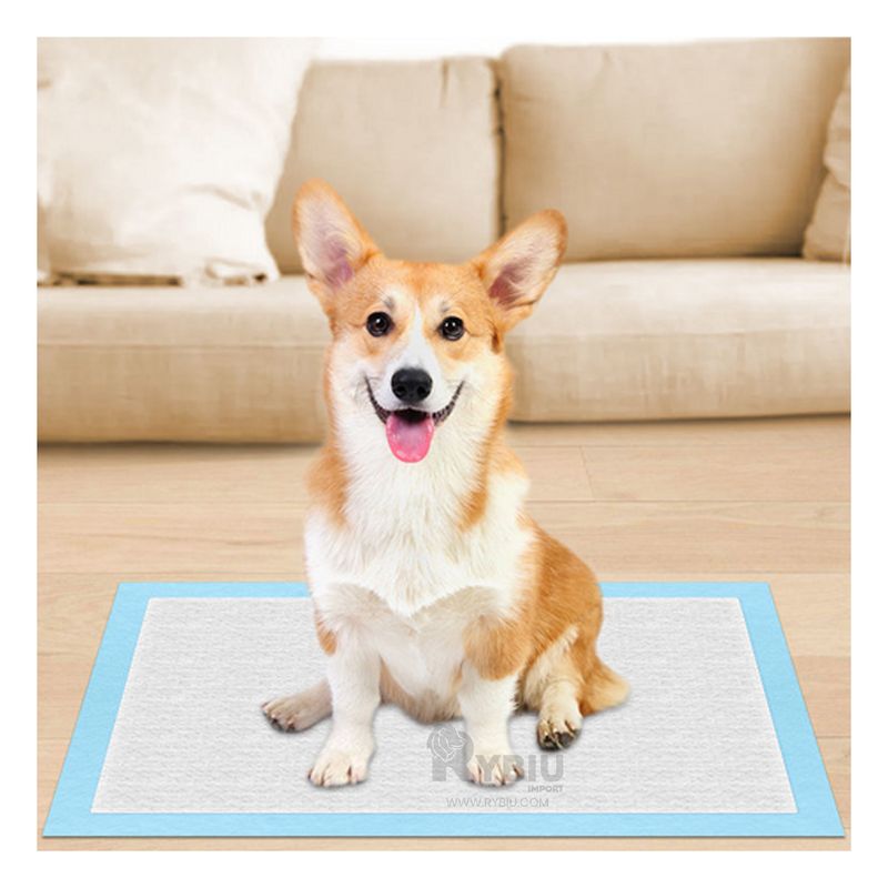 GENERICO - Pañal Moderno para Perros 45x60 en Talla M Y+Regalo Agendita