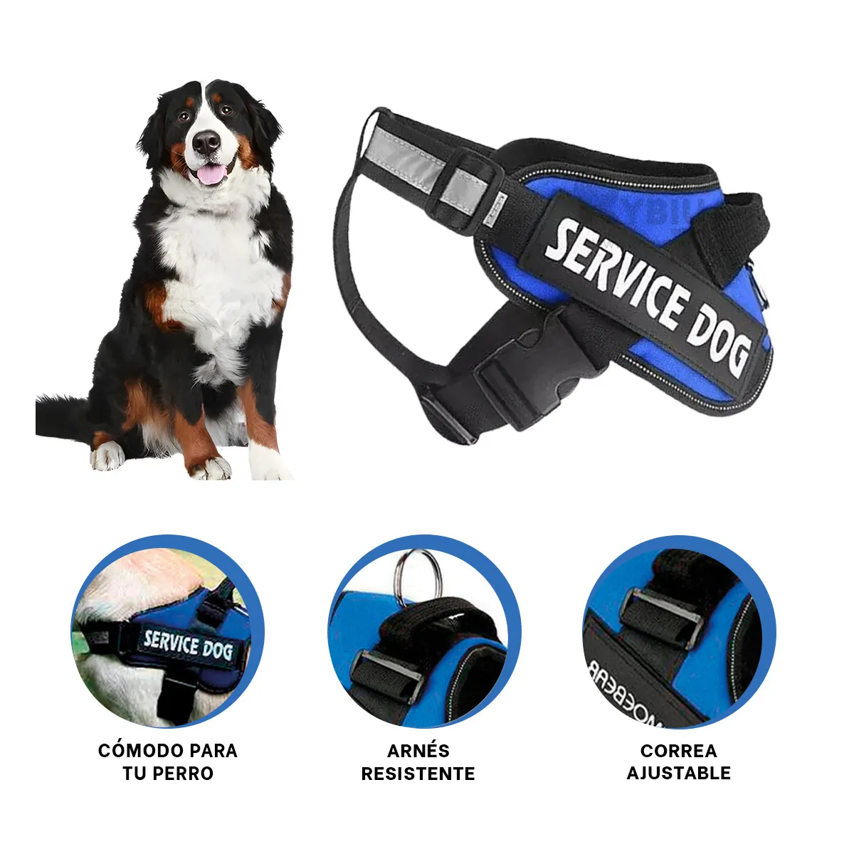 RYBIU IMPORT - Arnes Compacto y para Animales de Azul Y+Papel de Regalo