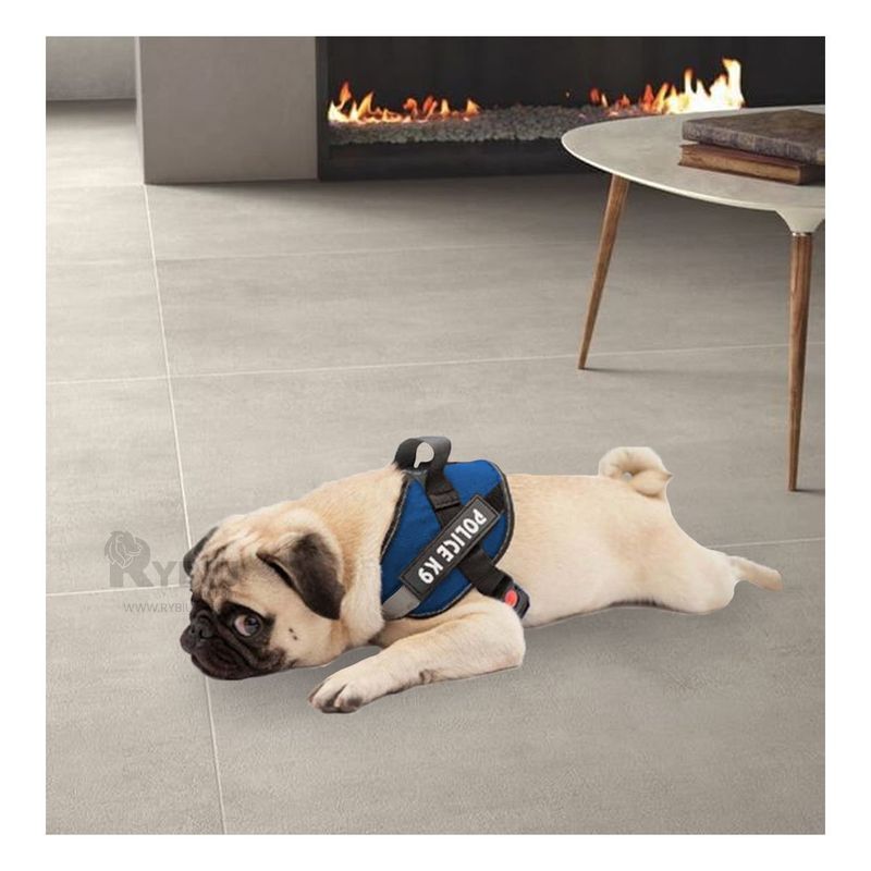 GENERICO - Arnes para Perros Activos Talla S de Color Azul
