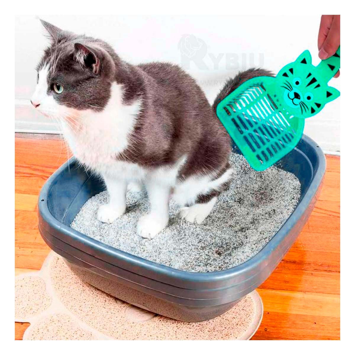 GENERICO - Pala Cernidora con Diseño para Gato en Verde