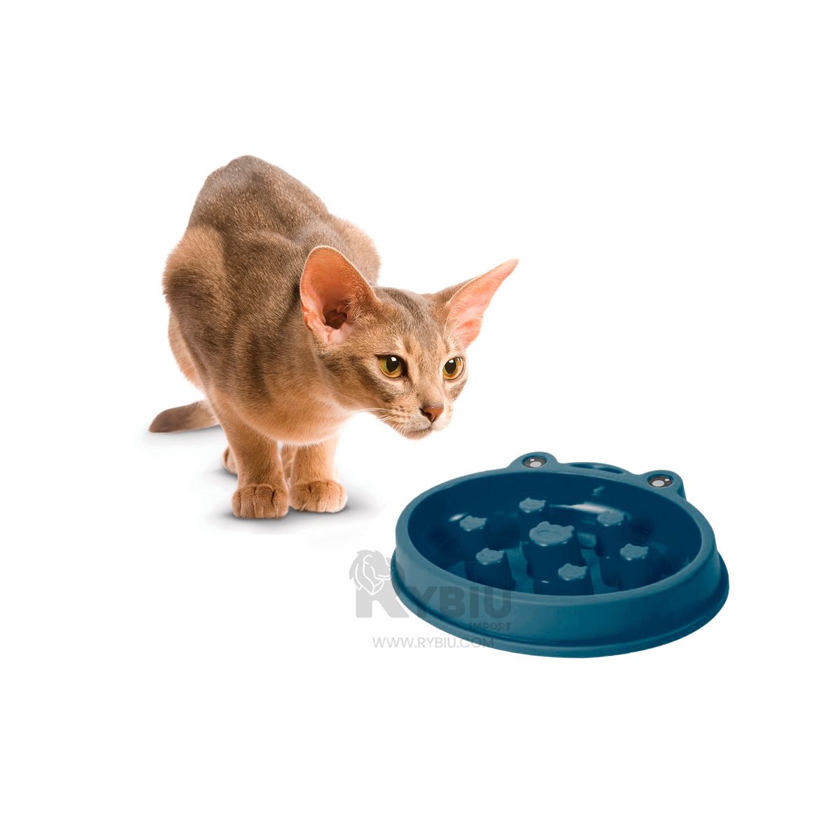 GENERICO - Plato Desestresante de Ranita Pet en Azul Y+Papel de Regalo